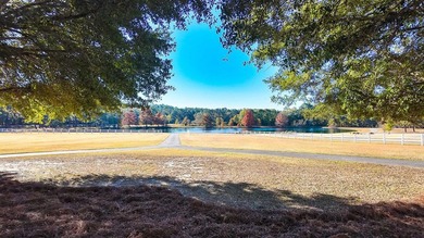 Waterfront Luxury Home with Backyard Oasis- Welcome home to 1333 - photo 4