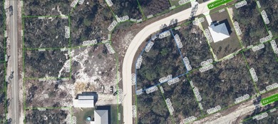 Lake Placid - Highland County Lot For Sale in Lake Placid Florida