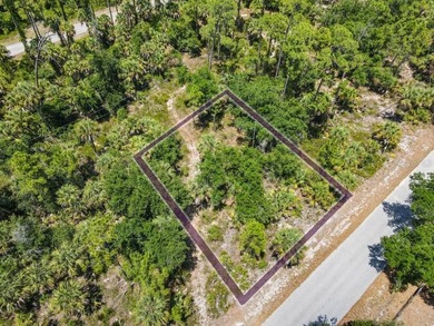 Discover the opportunity to own between 1/4 and 2/3 acre of - photo 1