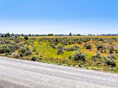 Donovan Reservoir Lot For Sale in Alturas California