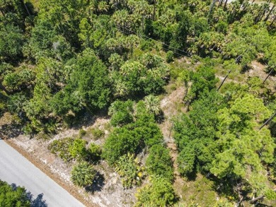 Discover the opportunity to own between 1/4 and 2/3 acre of - photo 3