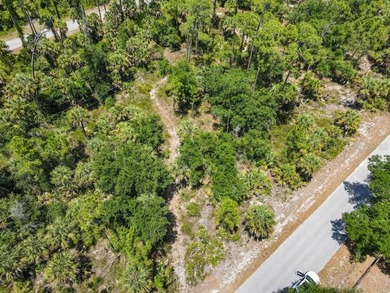 Discover the opportunity to own between 1/4 and 2/3 acre of - photo 5