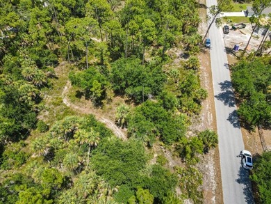 Discover the opportunity to own between 1/4 and 2/3 acre of - photo 6