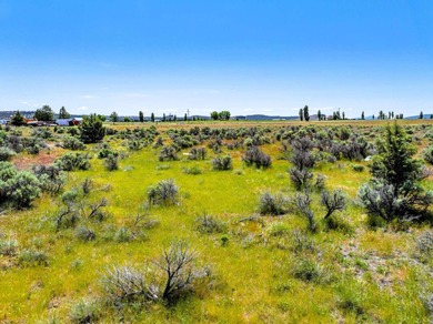 This is a rare lot on the Airstrip in California Pines with - photo 7