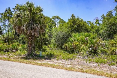 Discover the opportunity to own between 1/4 and 2/3 acre of - photo 8