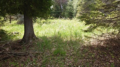 Outstanding Lasalle Island building lot offers an authentic - photo 9