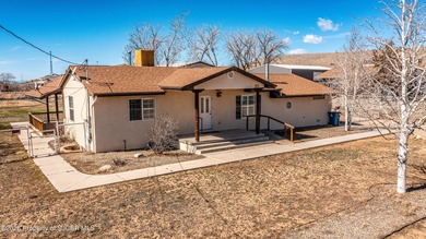 San Juan River Home For Sale in Farmington New Mexico