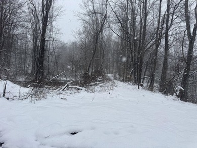 Lake Acreage For Sale in Pax, West Virginia