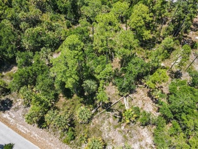Discover the opportunity to own between 1/4 and 2/3 acre of - photo 2