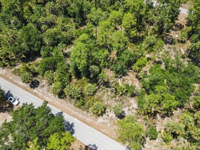 Discover the opportunity to own between 1/4 and 2/3 acre of - photo 3