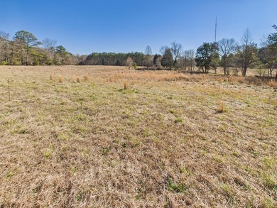 This spacious 4 bedroom 3.5 bath home offers approximately 3,079 - photo 4