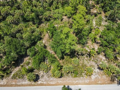 Discover the opportunity to own between 1/4 and 2/3 acre of - photo 4