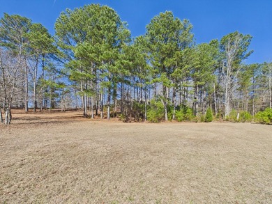 This spacious 4 bedroom 3.5 bath home offers approximately 3,079 - photo 5