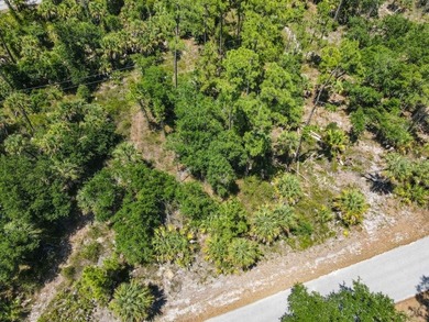 Discover the opportunity to own between 1/4 and 2/3 acre of - photo 5