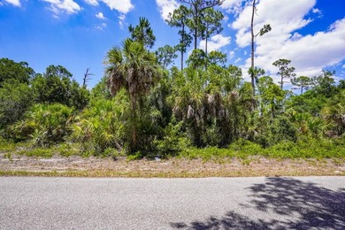 Discover the opportunity to own between 1/4 and 2/3 acre of - photo 6