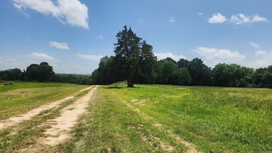 Lake Ouachita Acreage For Sale in Story Arkansas