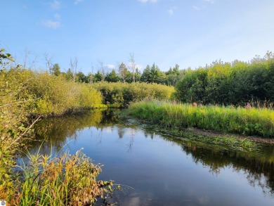 (private lake, pond, creek) Acreage For Sale in Roscommon Michigan