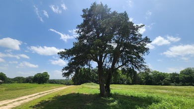 Located just 1.5 miles north of Mount Ida, this 3.34-acre lot is - photo 2