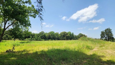 Located just 1.5 miles north of Mount Ida, this 3.34-acre lot is - photo 4