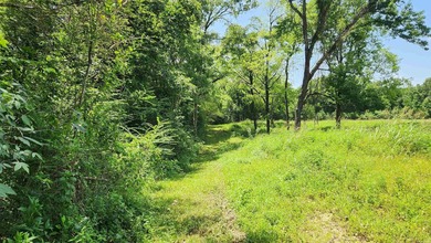 Located just 1.5 miles north of Mount Ida, this 3.34-acre lot is - photo 5