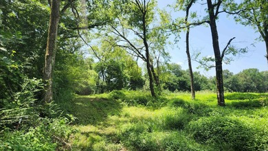 Located just 1.5 miles north of Mount Ida, this 3.34-acre lot is - photo 7
