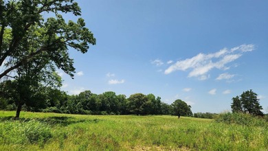 Located just 1.5 miles north of Mount Ida, this 3.34-acre lot is - photo 8
