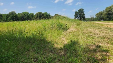 Located just 1.5 miles north of Mount Ida, this 3.34-acre lot is - photo 9