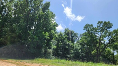 Located just 1.5 miles north of Mount Ida, this 3.34-acre lot is - photo 10