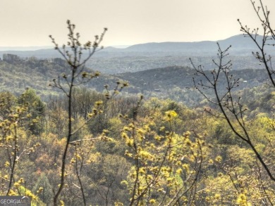 (private lake, pond, creek) Acreage For Sale in Ellijay Georgia