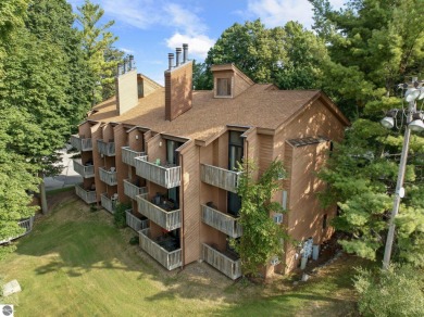 (private lake, pond, creek) Condo For Sale in Bellaire Michigan