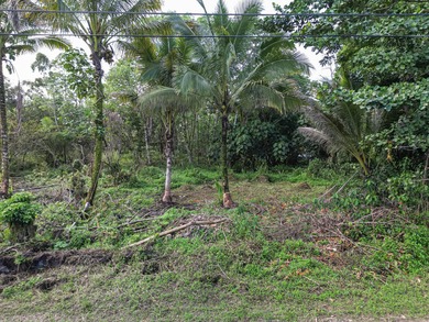 Located in Hawaiian Paradise Park, this previously cleared lot - photo 1