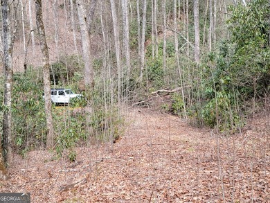 Hiking anyone? This 7.18 acres at an elevation of over 3000 feet - photo 2