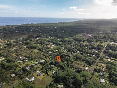 Located in Hawaiian Paradise Park, this previously cleared lot - photo 4