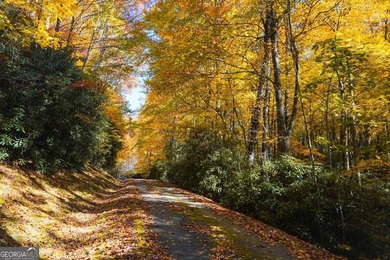Hiking anyone? This 7.18 acres at an elevation of over 3000 feet - photo 6