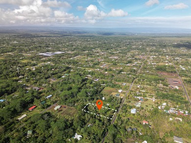 Located in Hawaiian Paradise Park, this previously cleared lot - photo 6