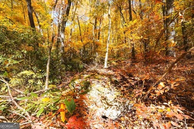 Hiking anyone? This 7.18 acres at an elevation of over 3000 feet - photo 7