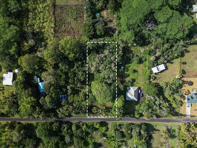 Located in Hawaiian Paradise Park, this previously cleared lot - photo 7