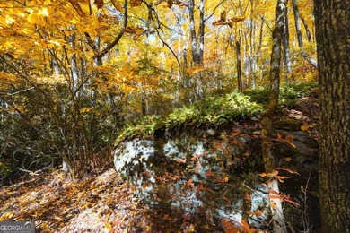 Hiking anyone? This 7.18 acres at an elevation of over 3000 feet - photo 8