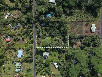 Located in Hawaiian Paradise Park, this previously cleared lot - photo 8