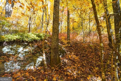 Hiking anyone? This 7.18 acres at an elevation of over 3000 feet - photo 9