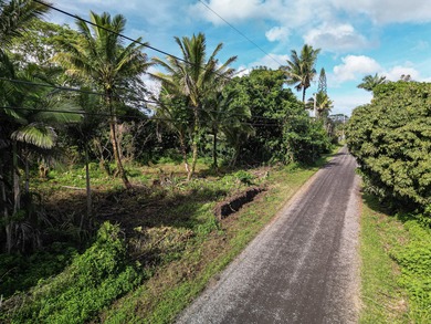 Located in Hawaiian Paradise Park, this previously cleared lot - photo 9