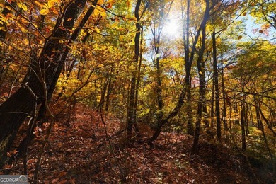 Hiking anyone? This 7.18 acres at an elevation of over 3000 feet - photo 10