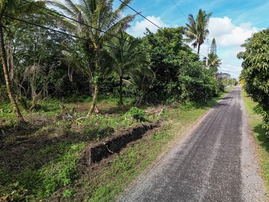 Located in Hawaiian Paradise Park, this previously cleared lot - photo 10