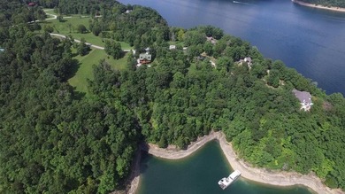 Beautiful lake front building lot located in Hickory Point - photo 12