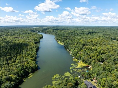 Perfect elevation lot on Long Lake! Experience one of - photo 12