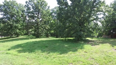 Beautiful lake front building lot located in Hickory Point - photo 13