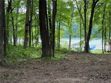 Perfect elevation lot on Long Lake! Experience one of - photo 15