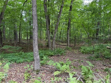 Perfect elevation lot on Long Lake! Experience one of - photo 16