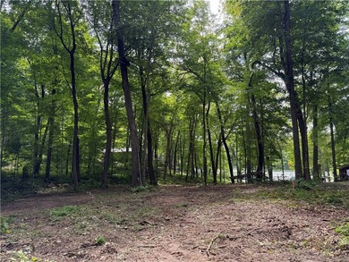 Perfect elevation lot on Long Lake! Experience one of - photo 17