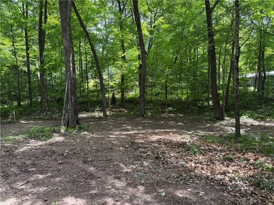 Perfect elevation lot on Long Lake! Experience one of - photo 18